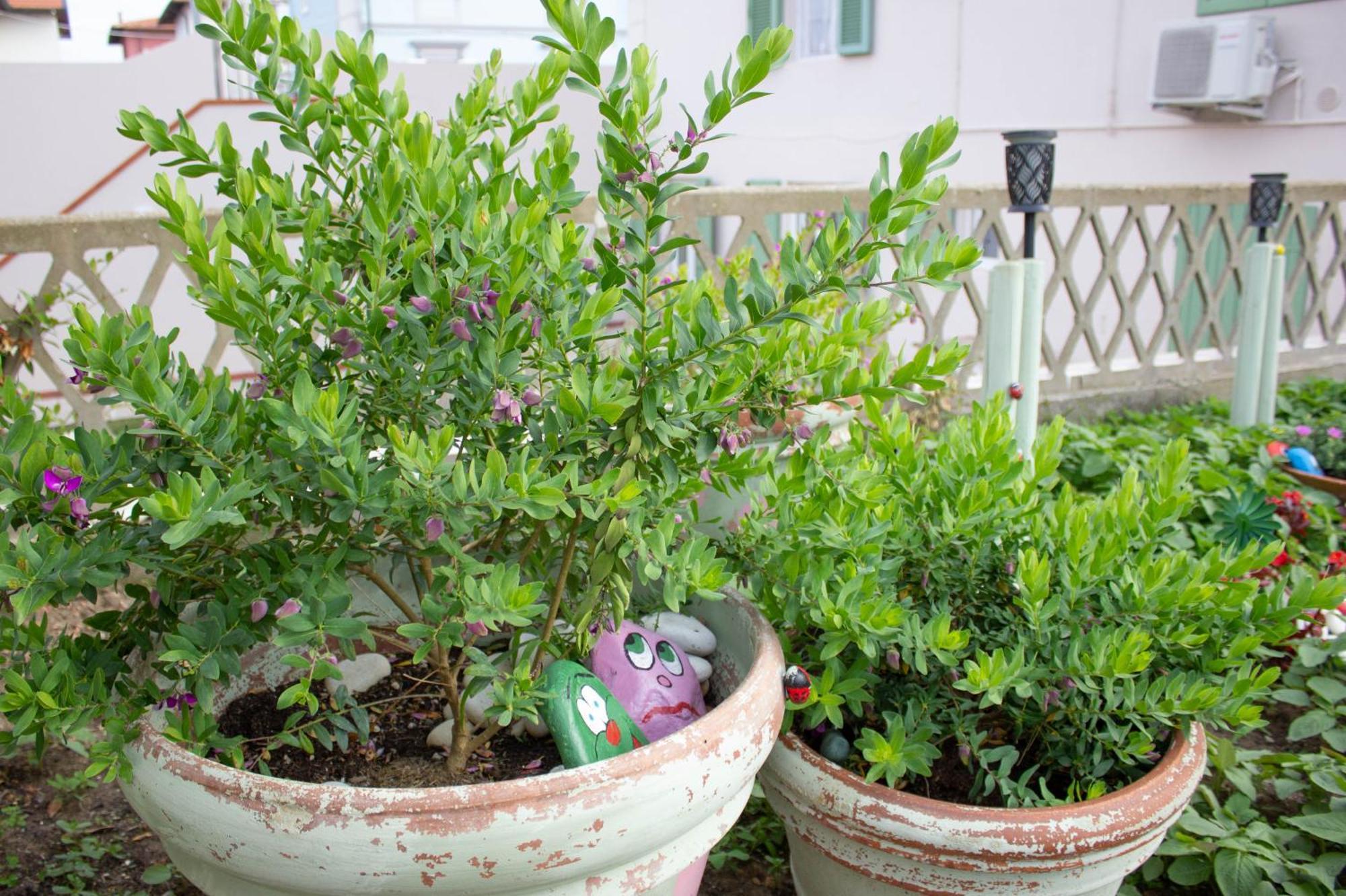 Ferienwohnung La Coccinella Marina Di Pisa Exterior foto